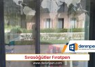 Sırasöğütler Fıratpen
